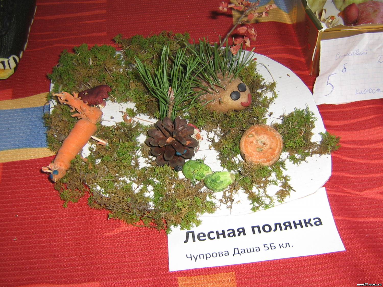 Вязки британских и шотландских кошек Форум Вязание для женщин / Пуловеры / Спицами